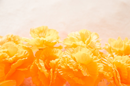 Sweet and pastel color  flower ,Soft and blurry focus photo in vintage styleの写真素材