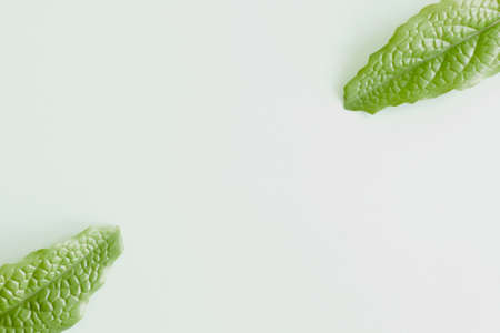 A white paper card on pastel background, Creative design for pastel wallpaper.の写真素材