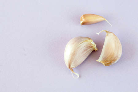 Fresh garlic clove is herb for healthy food
