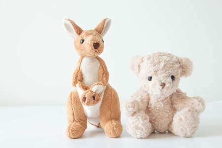 the cute little teddy bear and kangaroo are so happy with feeling relax and happy.の写真素材