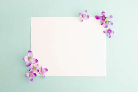 Mockup of a white paper card on pastel background, Creative design for pastel wallpaper.