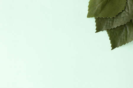 A white paper card on pastel background, Creative design for pastel wallpaper.