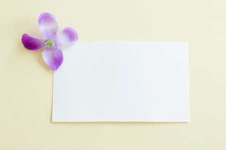 Mockup of a white paper card on pastel background, Creative design for pastel wallpaper.