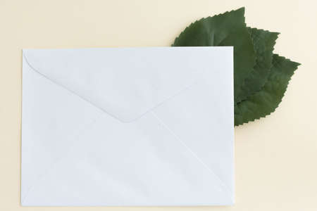 a white envelope on a pastel background.