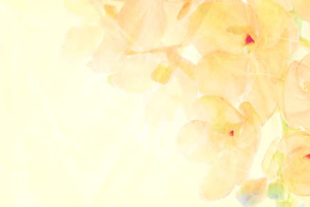 Sweet and pastel color  flower, Soft and blurry focus photo in vintage style, blurry imageの写真素材