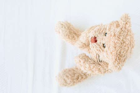Cute teddy bear on white color backgroundの写真素材