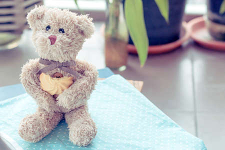 The Teddy bear is eating a sweet cookie.の写真素材