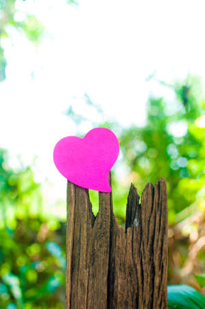 Blank note pad or sticky notes pink on timber with bokeh sunlight outdoor background,Happy valentine day.の写真素材