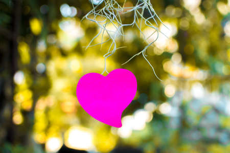 Blank note pad or sticky notes pink with bokeh sunlight outdoor background,Happy valentine day.の写真素材