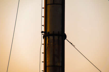 Close up Industrial view of pipelines  at oil refinery plant form industry zone with sunrise sky backgroundの写真素材