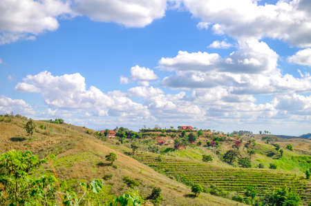 summer mountains green grass landscape with blue sky backgroundの写真素材