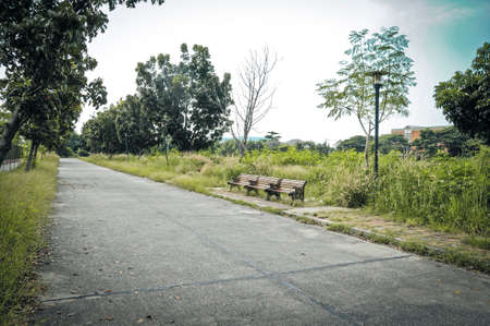 Empty street with bench at the nice and comfortable great gardenの写真素材