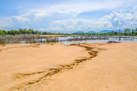 Fantastic views of the beautiful paradise of sand stone, lake, forest with blue sky and cloud backgroundの写真素材