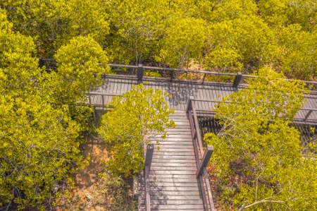 Walkway with wooden bridge through mangrove forrest, Golden Meadow Prong or Thung Prong Thong (Thai language) at Rayong, Thailandの写真素材