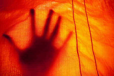 Shadow palms on the orange fabricの写真素材