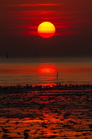 Red sky at sunsetの写真素材