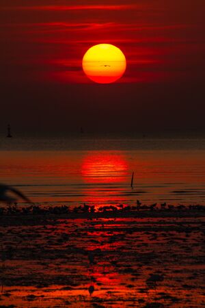 Red sky at sunsetの写真素材