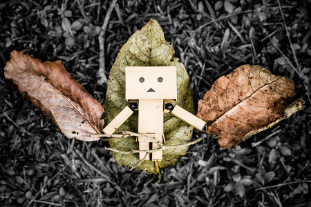 Doll lying on leavesの写真素材