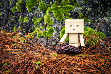 toys in a pine forestの写真素材
