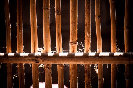 Light shining down onto a bamboo fence.の写真素材