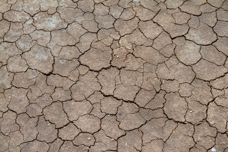 cracked earthの写真素材