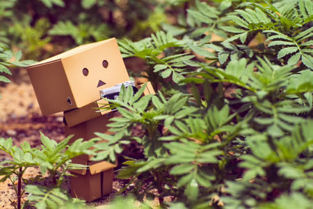 Toys in the gardenの写真素材