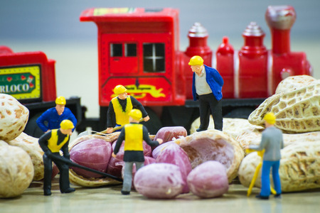 Tiny toy mining peanutsの写真素材