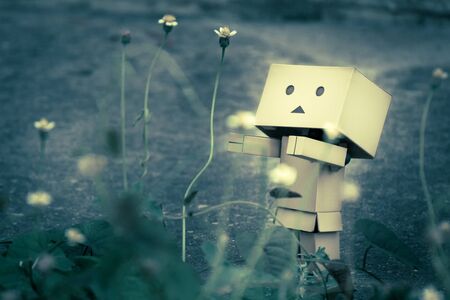 Toys in the gardenの写真素材