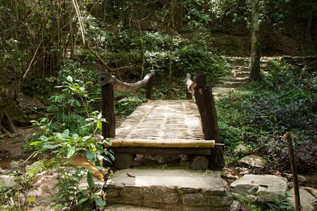 Bridge made of bamboo in the forest.の写真素材