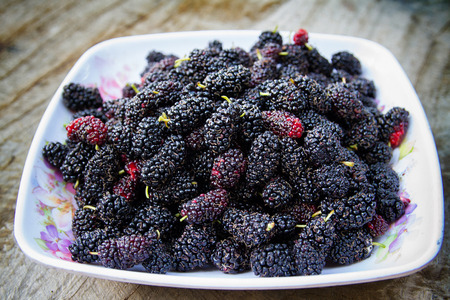 Black mulberry sweet delicious.の写真素材