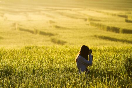 Photographers rice paddy fields at dawn.の写真素材