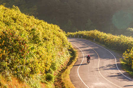 Road routes on the mountainの写真素材