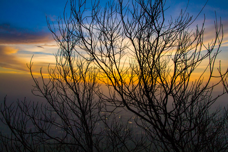 Silhouette of dried tree branches with sky at duskの写真素材