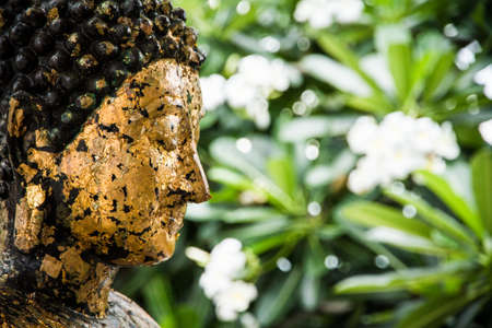 Golden Buddha in the gardenの写真素材