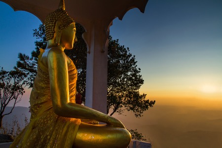 Golden Buddha in a pine forest at dawnの写真素材