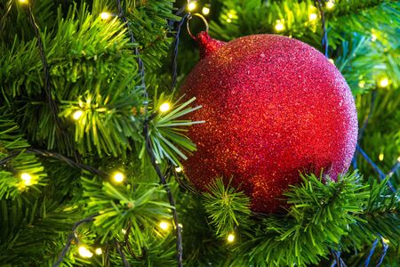 Red sparkles ball on a Christmas treeの写真素材