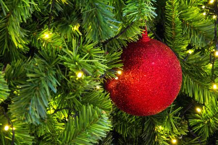 Red sparkles ball on a Christmas treeの写真素材