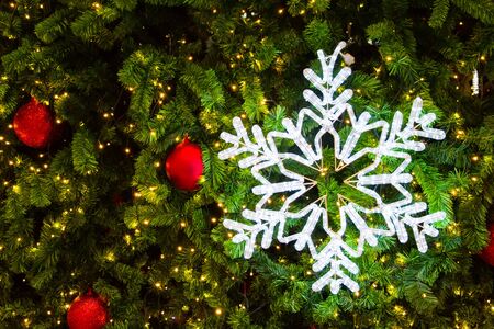 Lighting snow flake on a Christmas tree.の写真素材