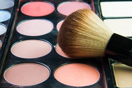 The Professional makeup palette with makeup brushの写真素材