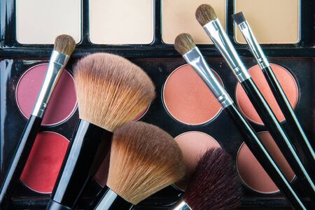 The Professional makeup palette with makeup brushの写真素材
