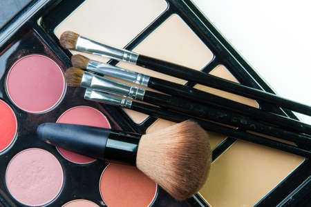 The Professional makeup palette with makeup brushの写真素材