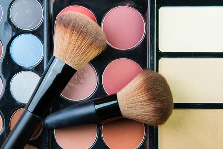 The Professional makeup palette with makeup brushの写真素材