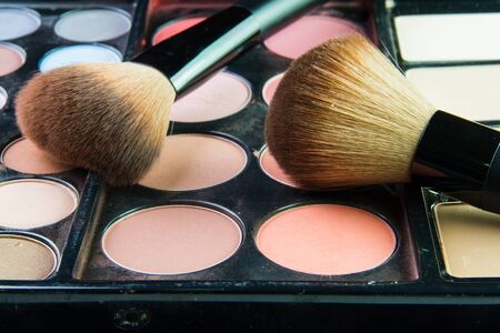 The Professional makeup palette with makeup brush