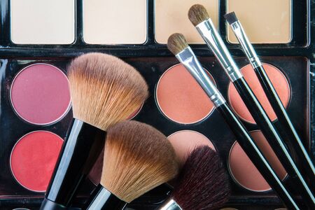 The Professional makeup palette with makeup brushの写真素材