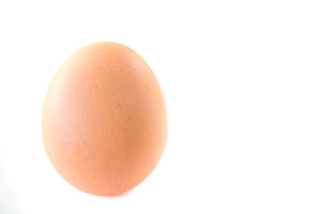 Single brown chicken egg isolated on white clipping pathの写真素材