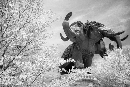 Huge elephant statue building of the Erawan museum, Samut Prakan, Thailandの写真素材