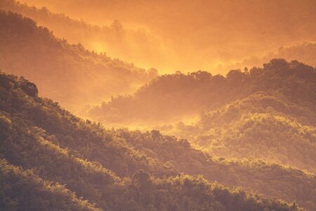 Sunrise summer landscape in the mountains.の写真素材