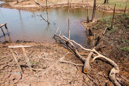 drought land so long waterless.の写真素材