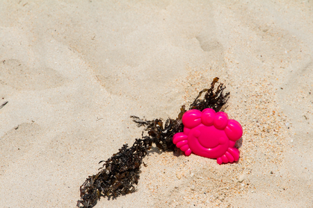 Toy plastic pink crab on the beachの写真素材
