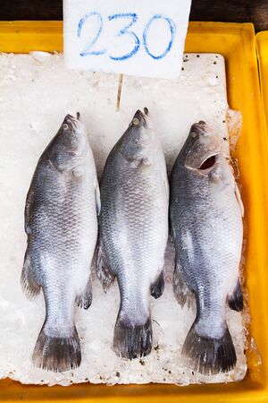 Sea fish in fresh market at ferry of Angsila, Choburi, Thailand.Sea Food.の写真素材